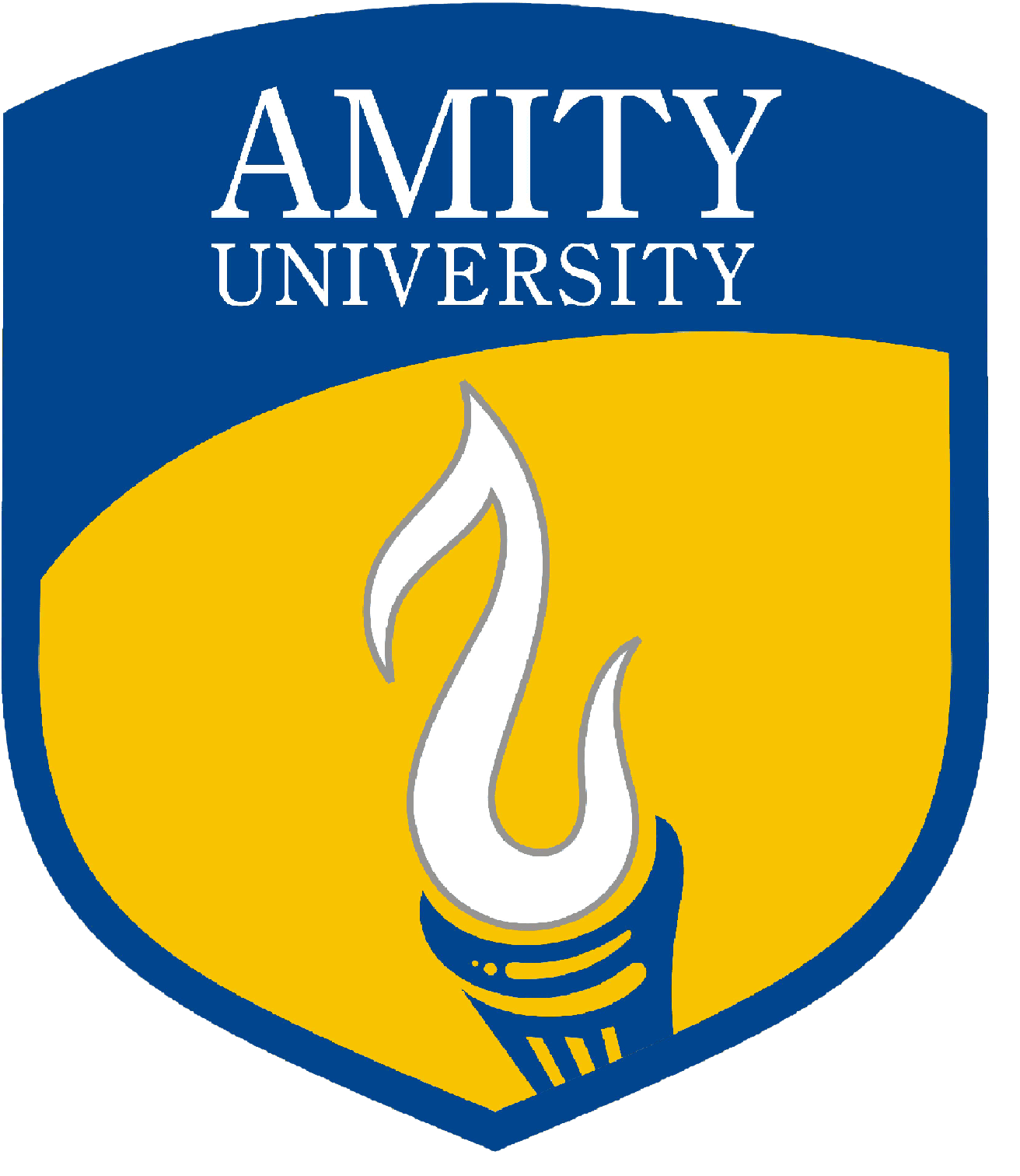 Amity University